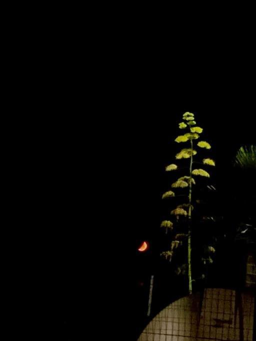 Casa Plumeria Marinella di Selinunte Bagian luar foto